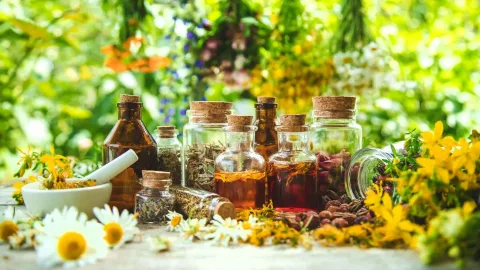 Plantes médicinales et remèdes naturels : renouer avec les bienfaits du vivant