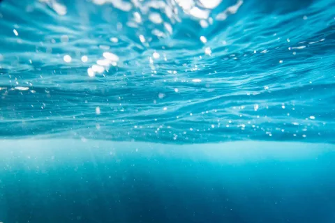Face à la pollution, préserver les océans : enjeux, solutions et initiatives inspirantes