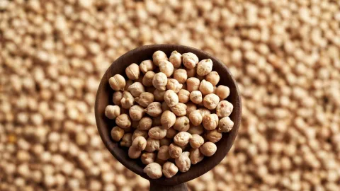 Légumineuses : santé, saveurs et équilibre dans votre assiette