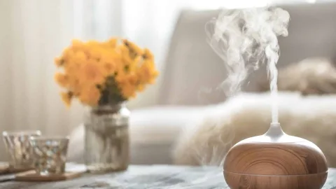 Qualité de l’air intérieur : respirer mieux chez soi