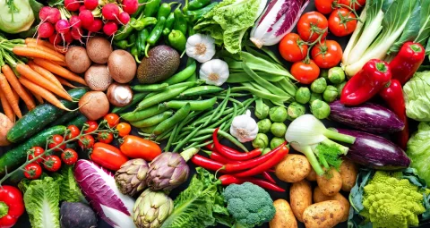 Nutrition : santé, sport, tous nos conseils...