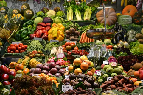 Alimentation végétale : conseils et astuces pour manger plus sain