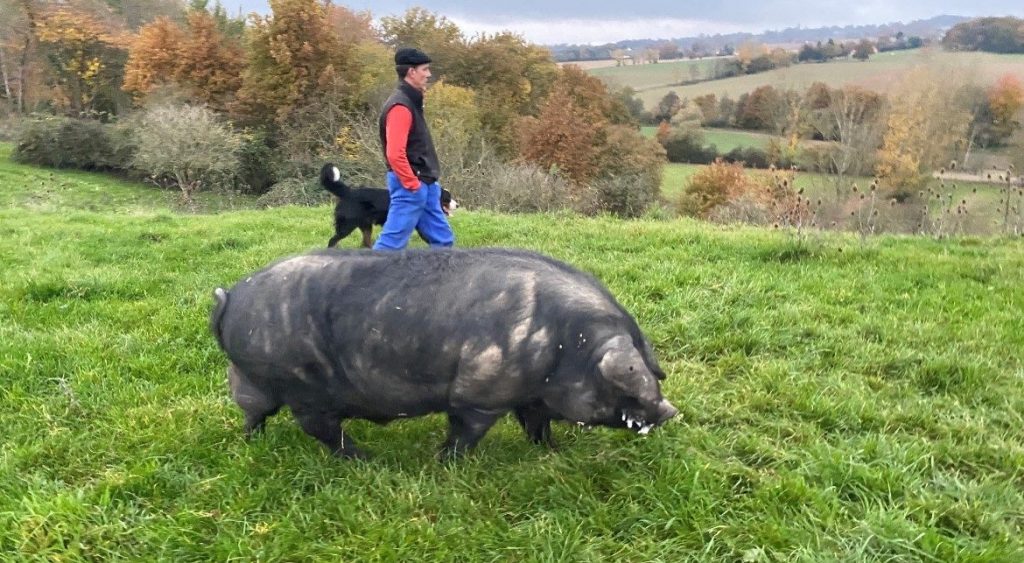 Sud-Ouest : la ferme familiale des frères Clément et Antoine Dupont 