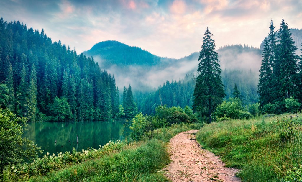 Misty morning scene of Lacu Rosu lake. Foggy summer sunrise in Harghita County, Romania, Europe. Beauty of nature concept background.