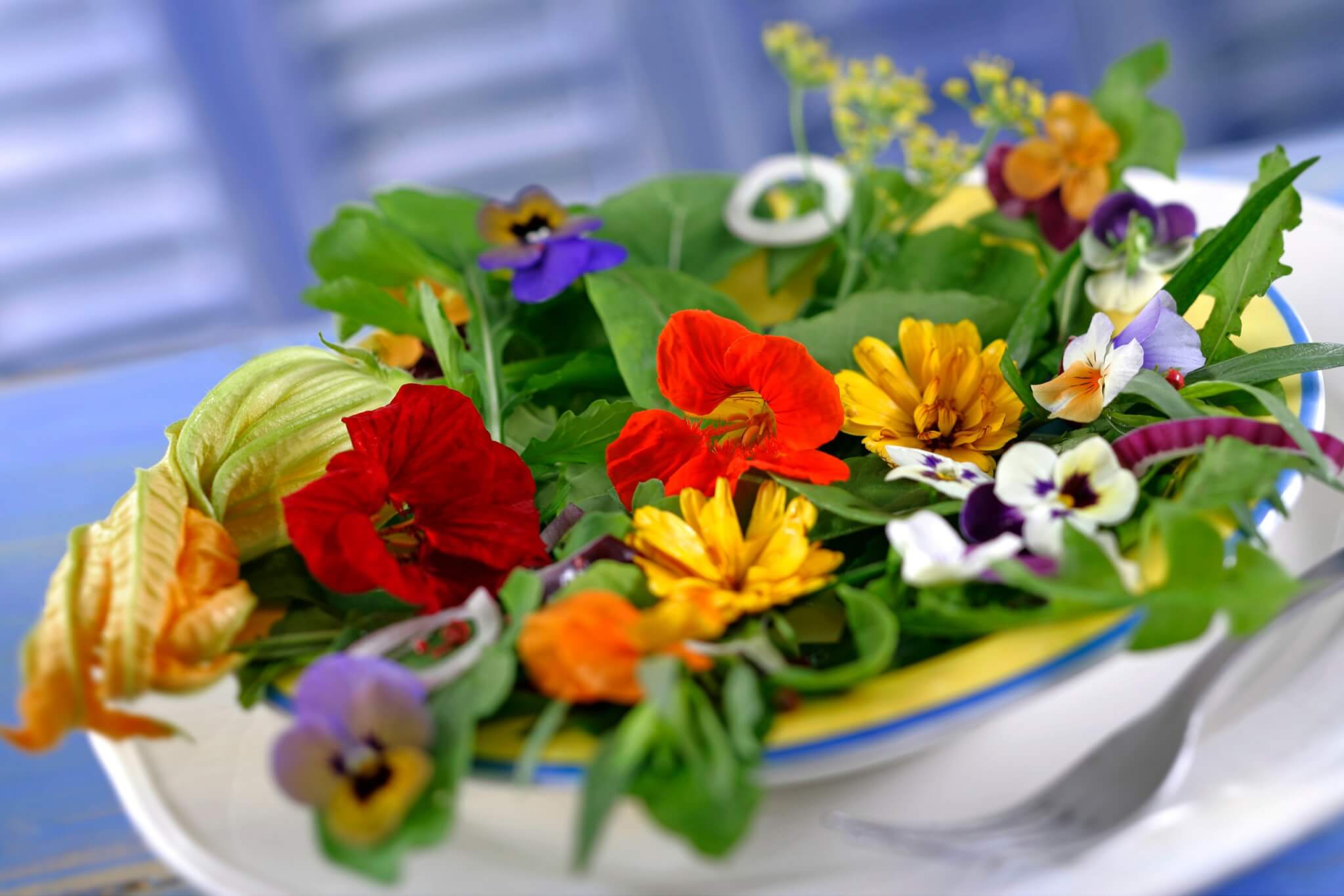 Les fleurs comestibles subliment nos assiettes