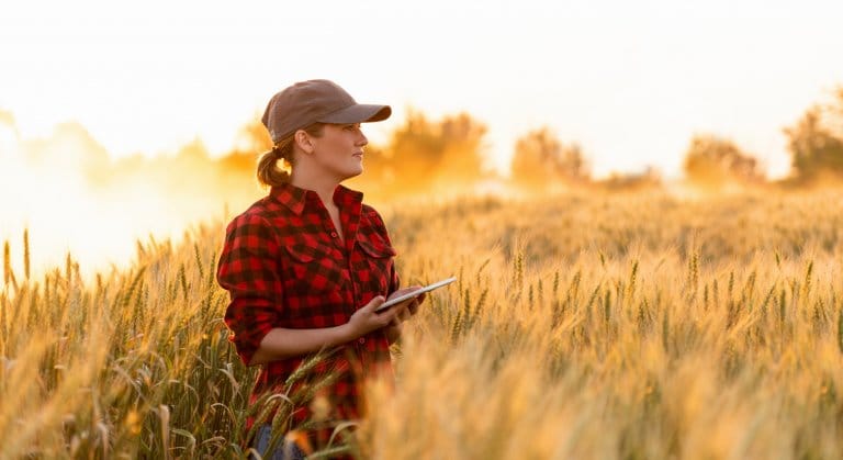 Agriculture de demain