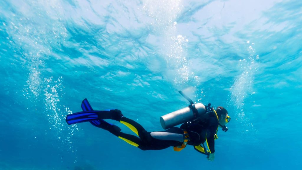 Silhouette of Scuba Diver near Sea Bottom