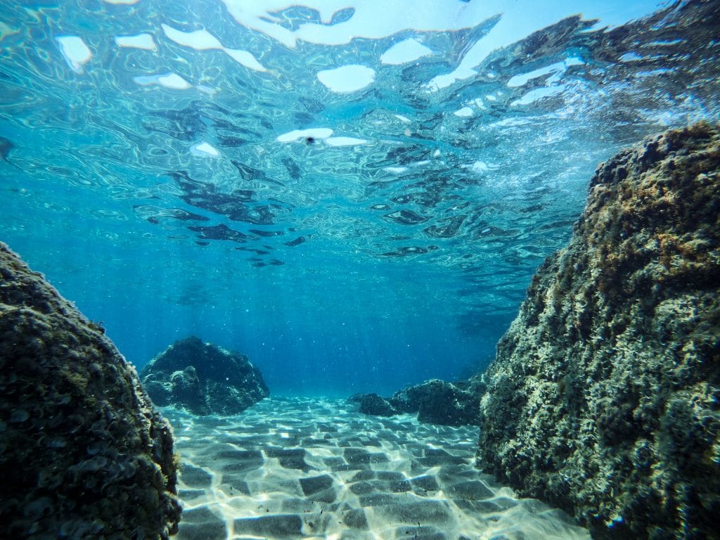 Paraplégique, il reprend la pêche sous-marine grâce à une combinaison