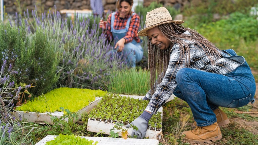 Potager femmes