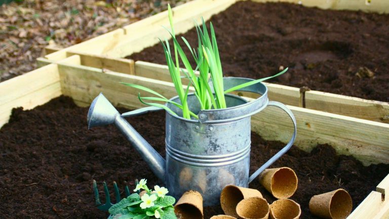 Ciel mon radis ! recrée du lien social en entreprise grâce aux potagers collaboratifs