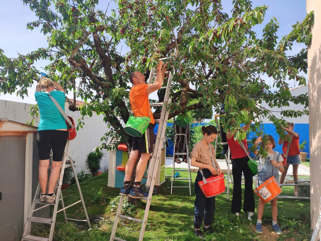 Aux arbres citoyens