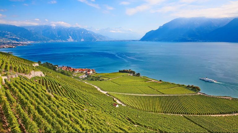 GENEVE Escapade en vélo et dégustations dans les vignobles genevois