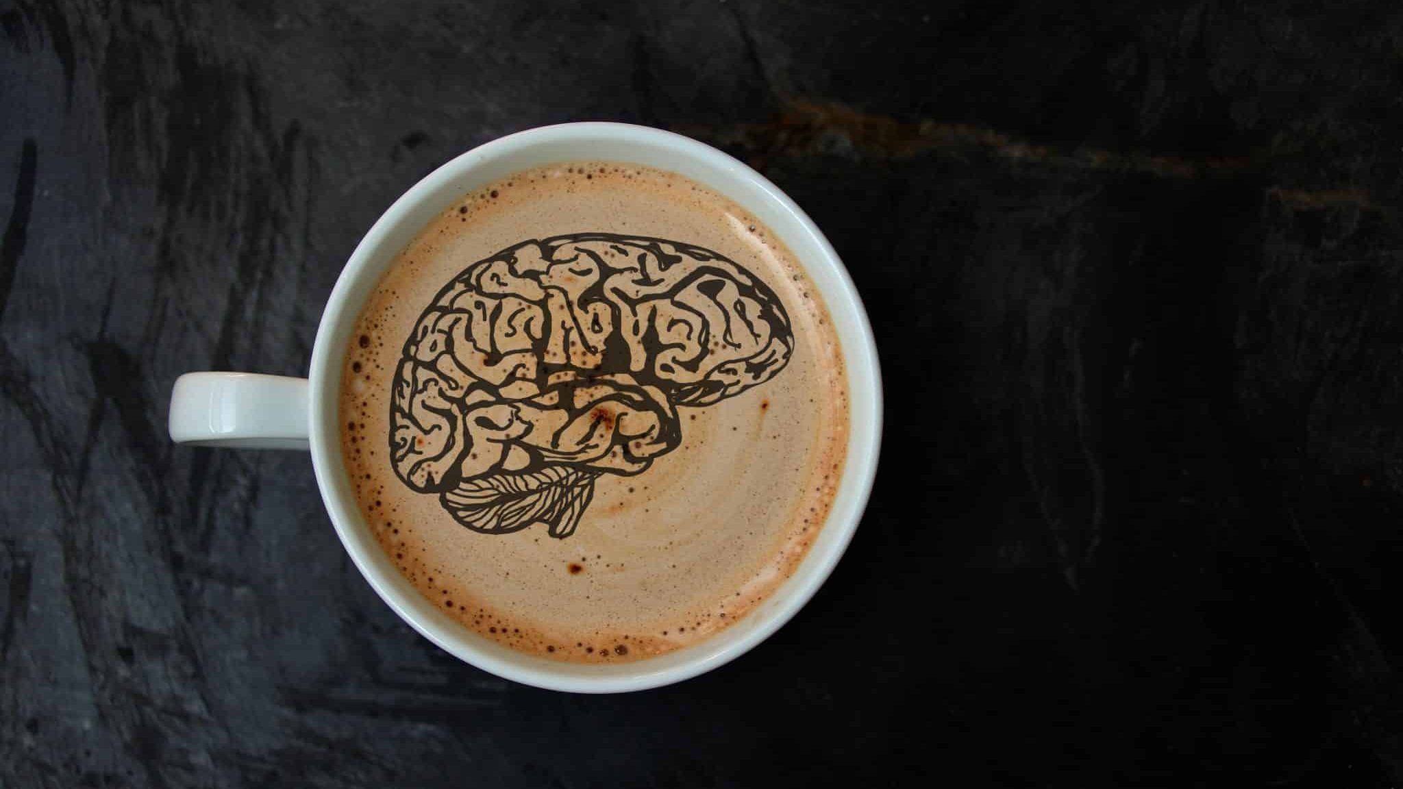 Les effets moléculaires de la caféine dans le cerveau