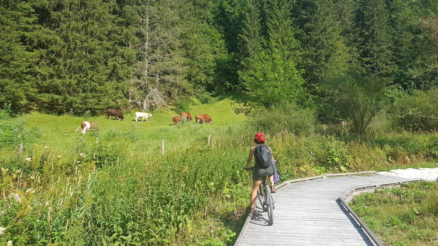 Loisirs Des Balades à Vélo Pour Découvrir Les Fromages Français 