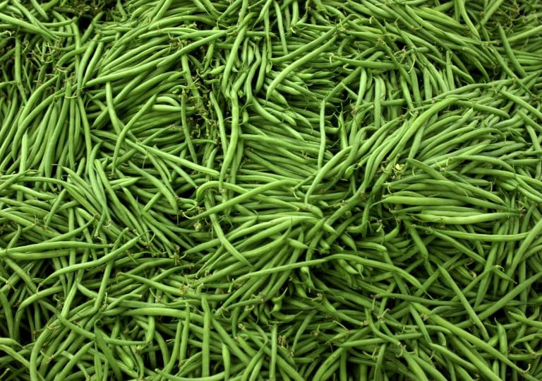 Etal d'haricots verts au marché