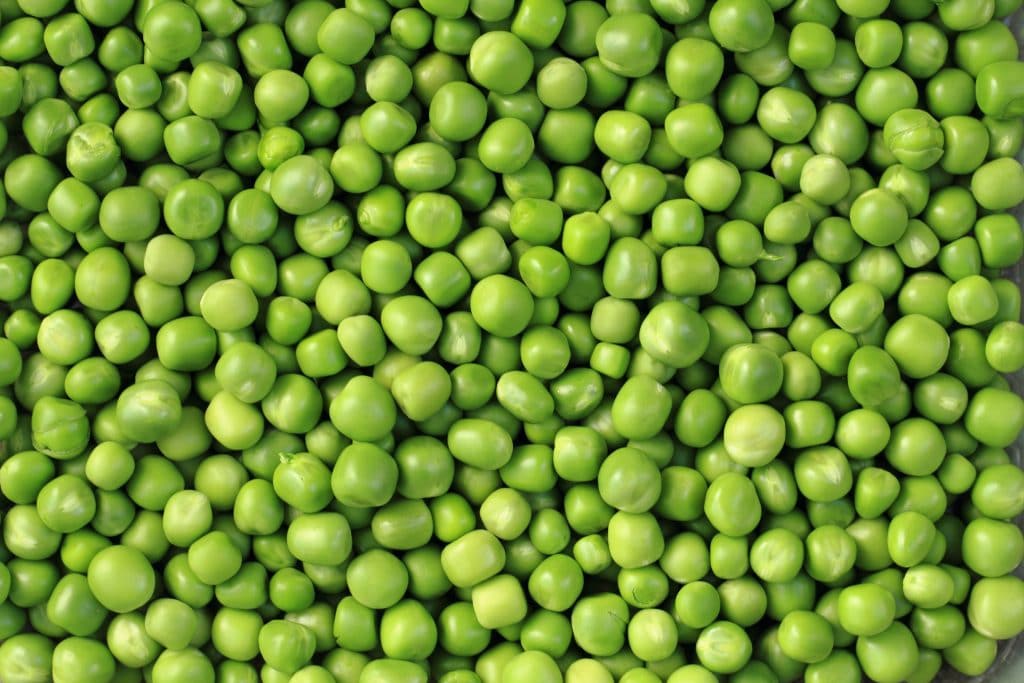 green pea background