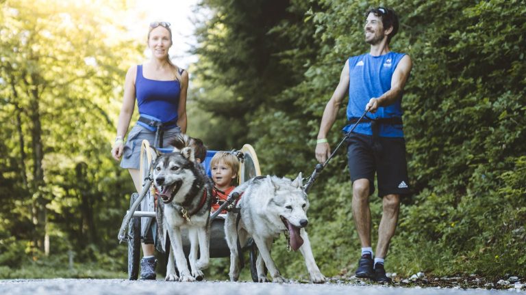 huskies rando baroudeurs enfants famille