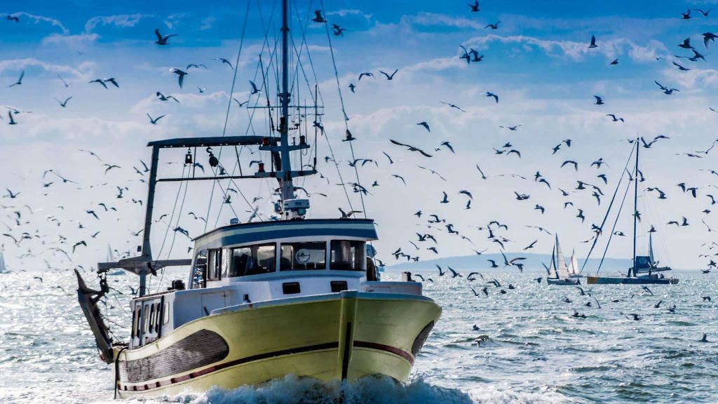 Retour de pêche d'un chalutier.