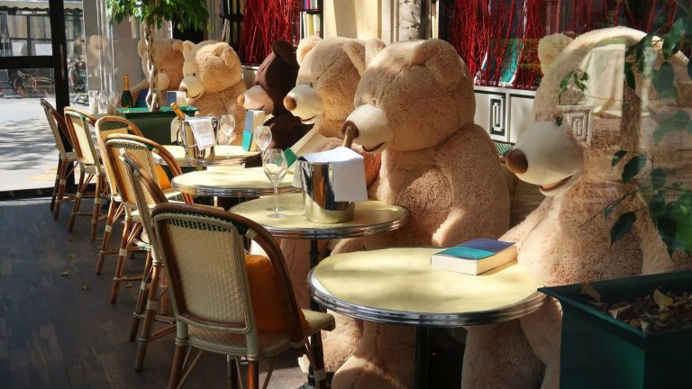 Le 9 septembre, c'est la journée mondiale de l'ours en peluche