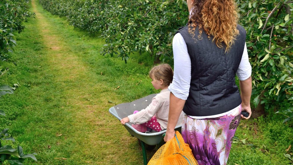 Circuit-court : passez par les cueillettes pour vos fruits et légumes !