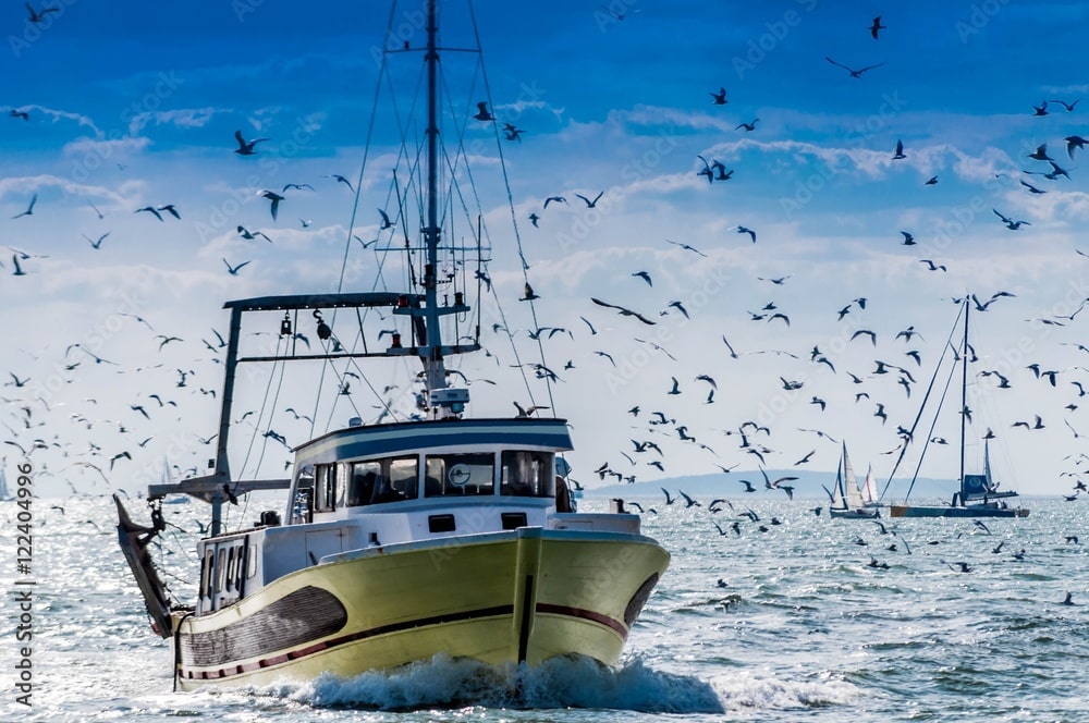 Retour de pêche d'un chalutier.