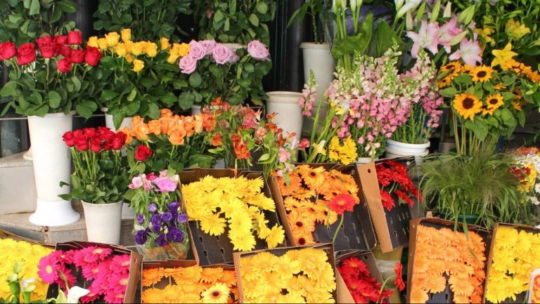 L'origine des fleurs bientôt indiquée