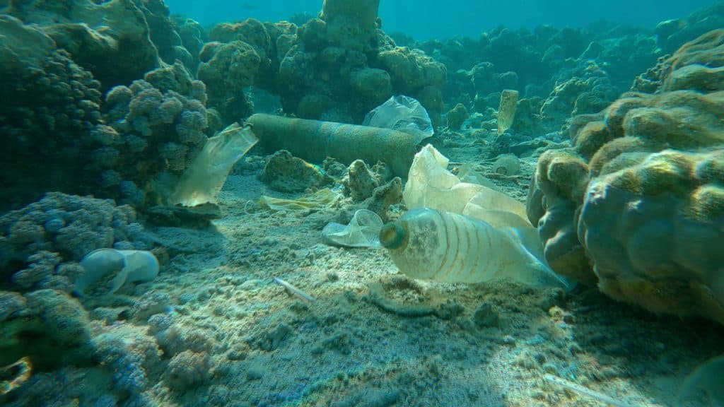 Marseille : un robot intelligent nettoie les fonds marins