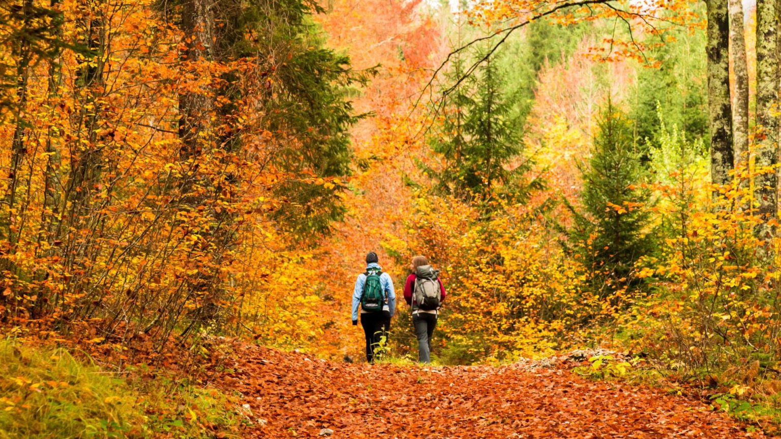 Les 10 Choses Positives Qui Vont Vous Faire Aimer L’automne