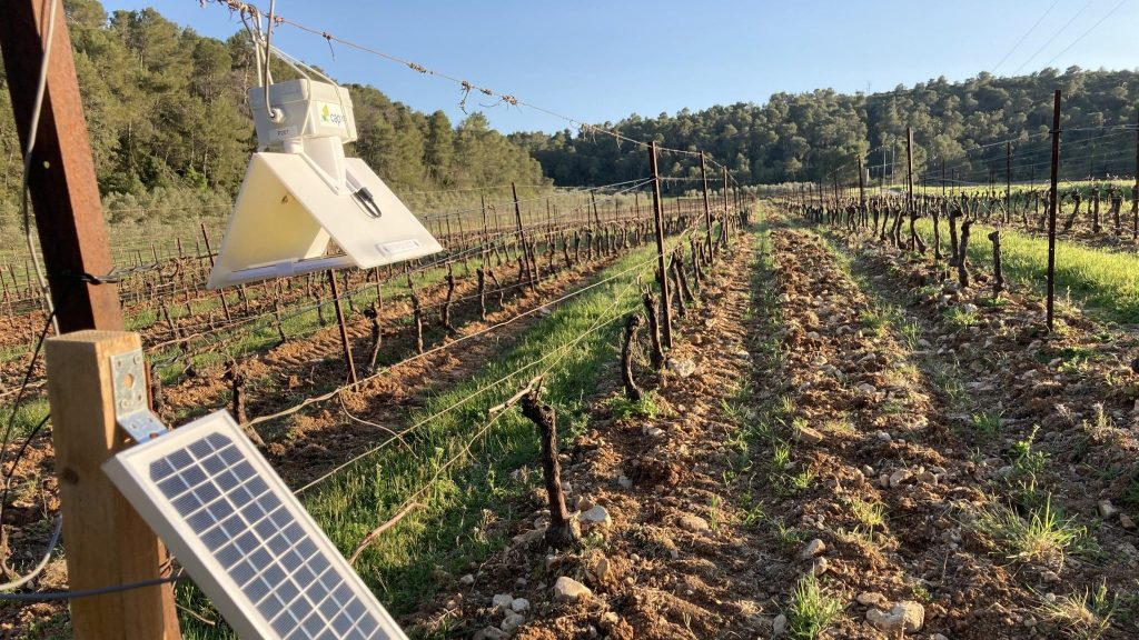 Vigne Viticulture Station météo