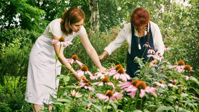 Savoir-faire : des cosmétiques « vivants » fait main à base de plantes