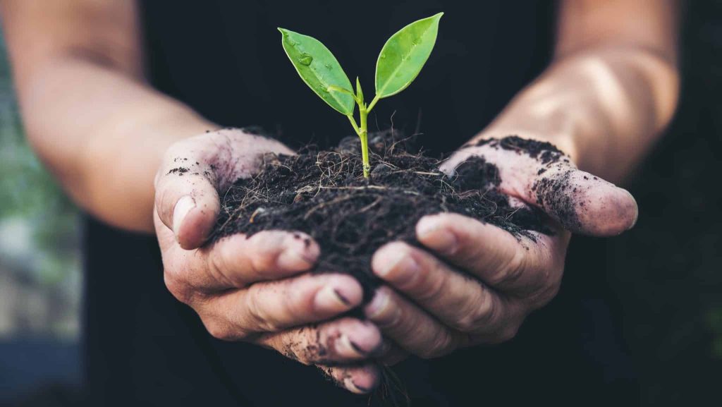 Livre : « Les Verdoyants » de Simon sont les visages de l’écologie