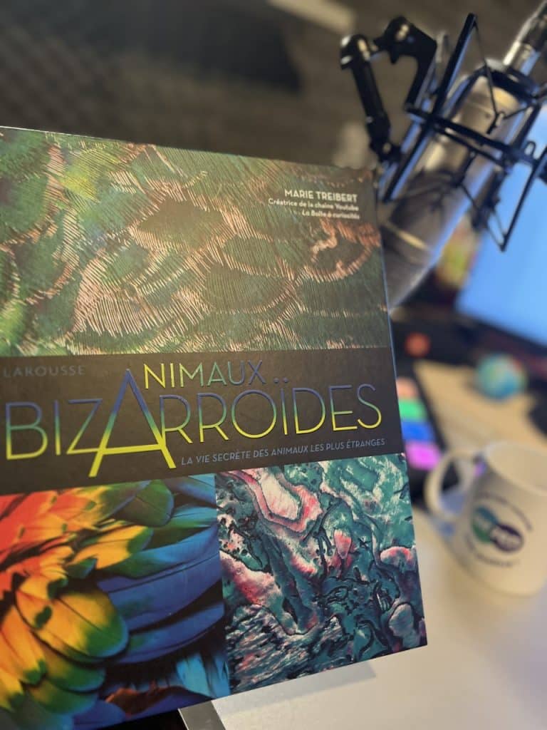 couverture du livre animaux bizaroïdes