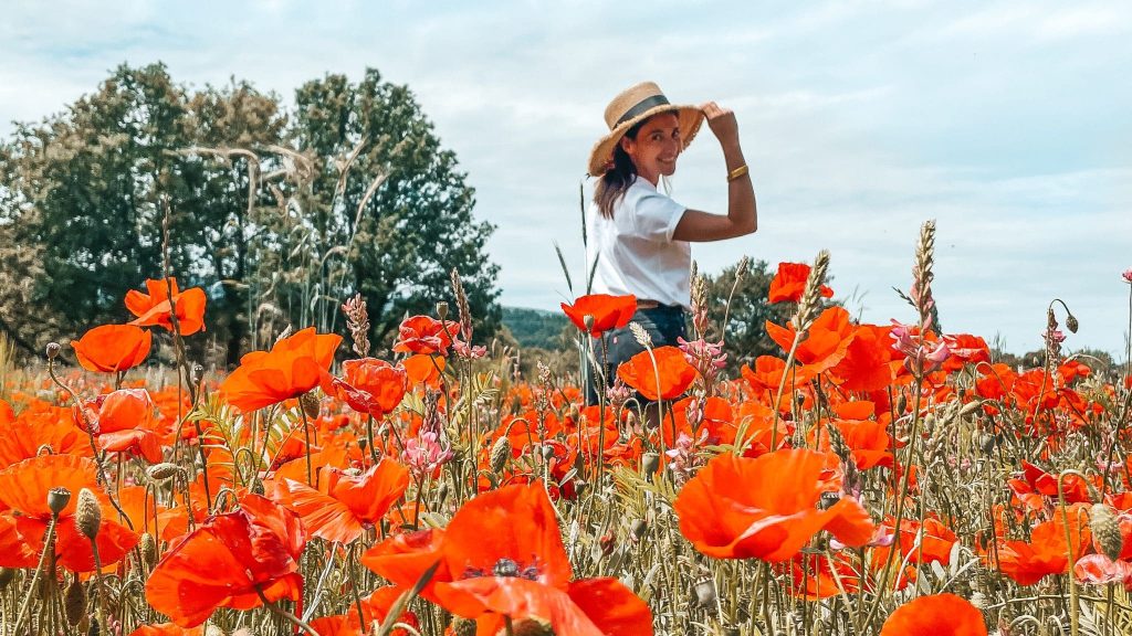 Luberon Guide du touriste éco-responsable