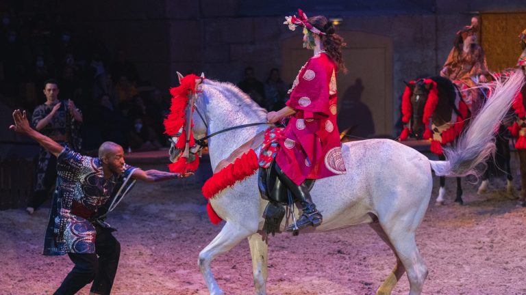 Spectacle TOTEM au château de Chantilly