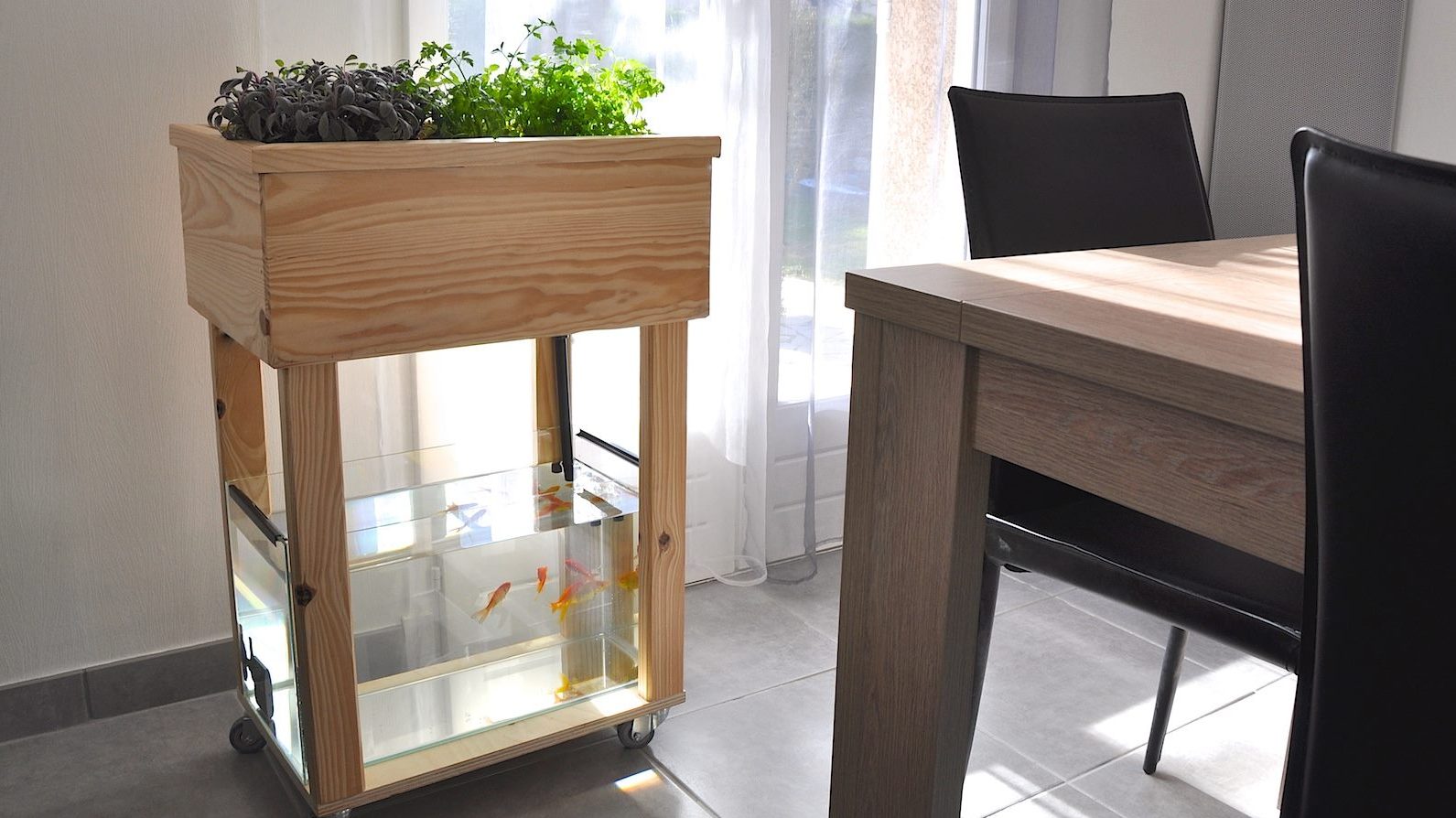 Un kit pour faire pousser plantes et légumes chez soi grâce à l'aquaponie