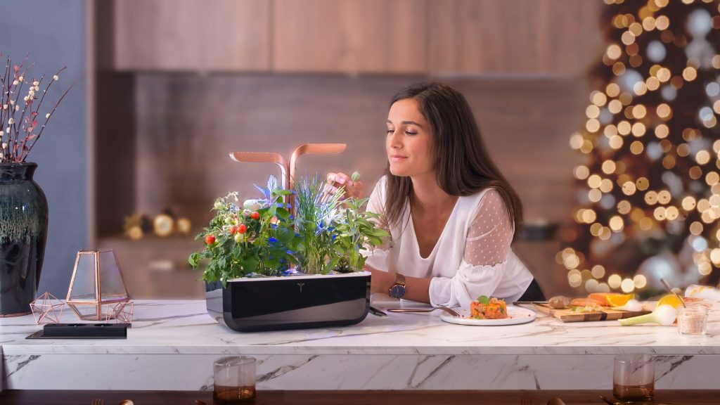 Lyon : Avoir son propre potager d’intérieur avec Véritable