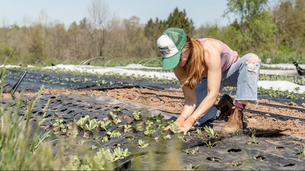 Une agricultrice plante des légumes en plein air