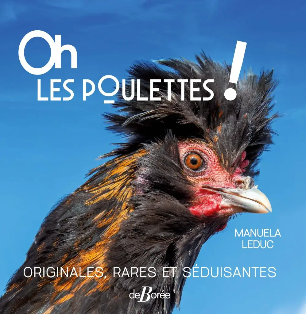 oh les poulettes