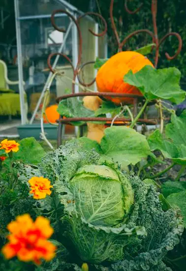 La pelle du jardin