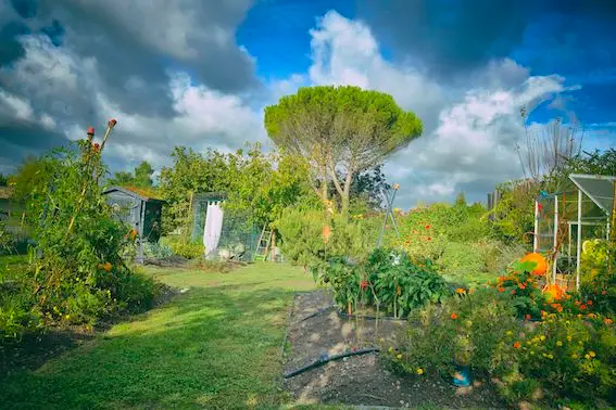 La pelle du jardin