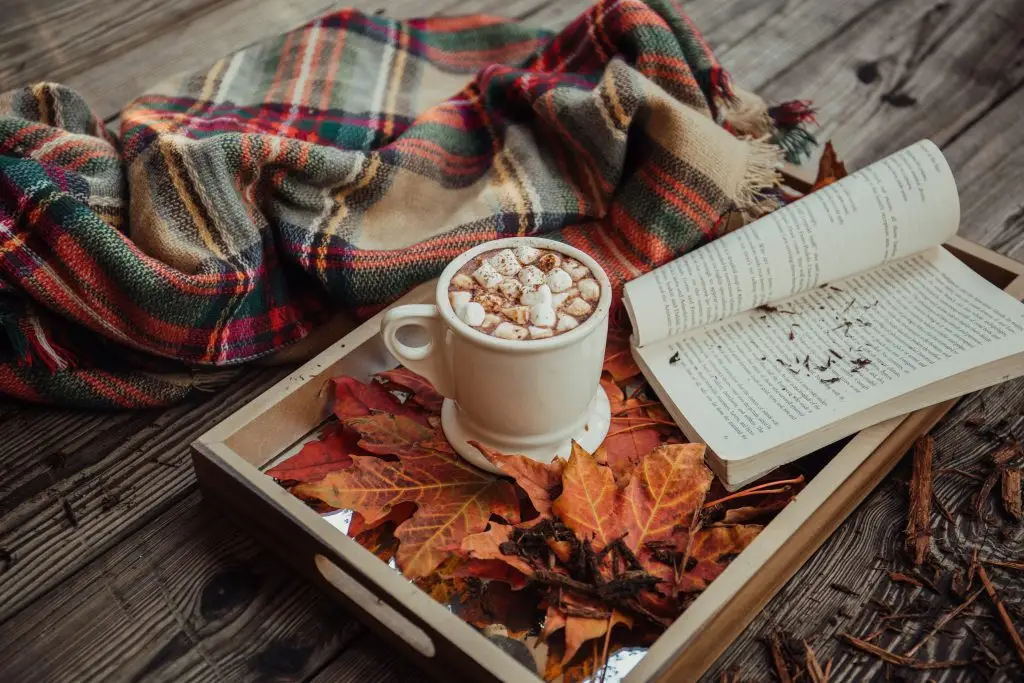 Un plateau est rempli de feuilles mortes avec un livre ouvert, une tasse de chocolat et des marshmallows.