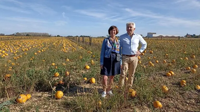 Marlène Castan et Frédéric Grünblatt, dans le champ de courges bio. Dans le fond, les ateliers de transformation.