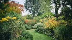 Le jardin du Coudray