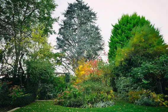 Le jardin du Coudray