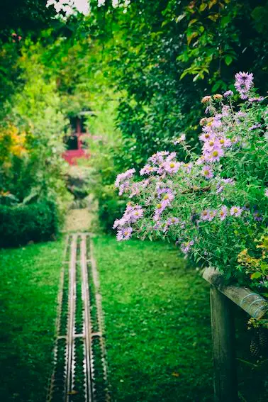 Le jardin du Coudray