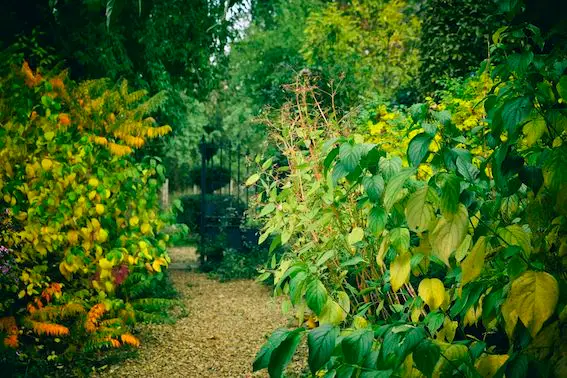 Le jardin du Coudray