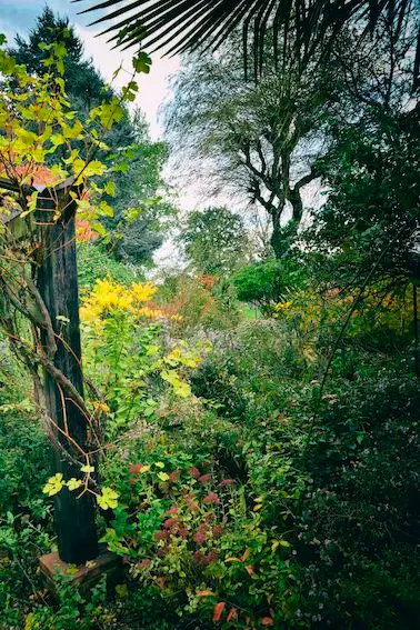 Le jardin du Coudray