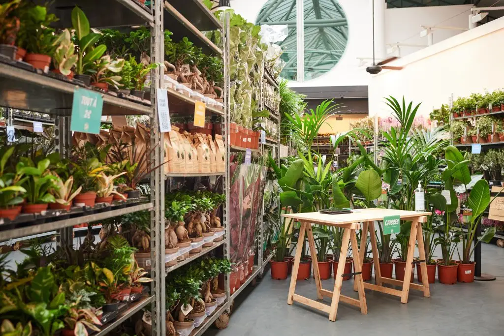 Les grandes ventes de plante chez Plantes Pour Tous