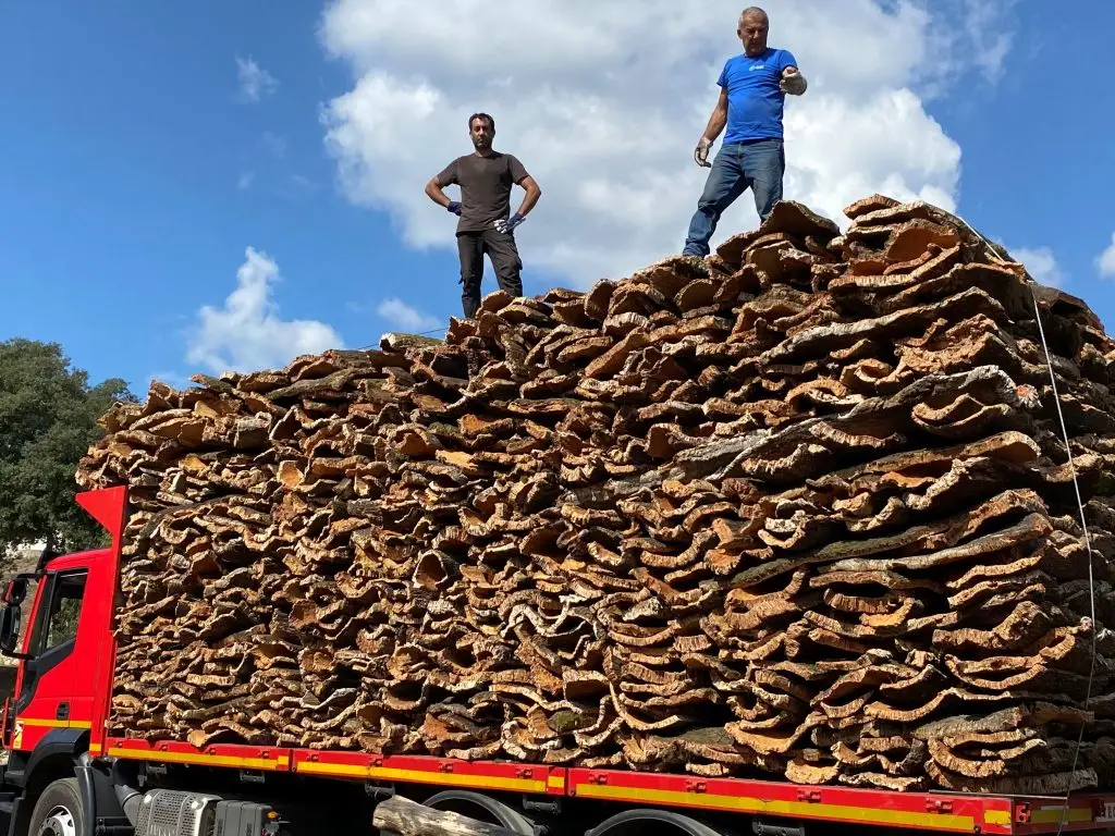 Corse : Découvrir le Liège avec Valere Serra, artisan liégeur