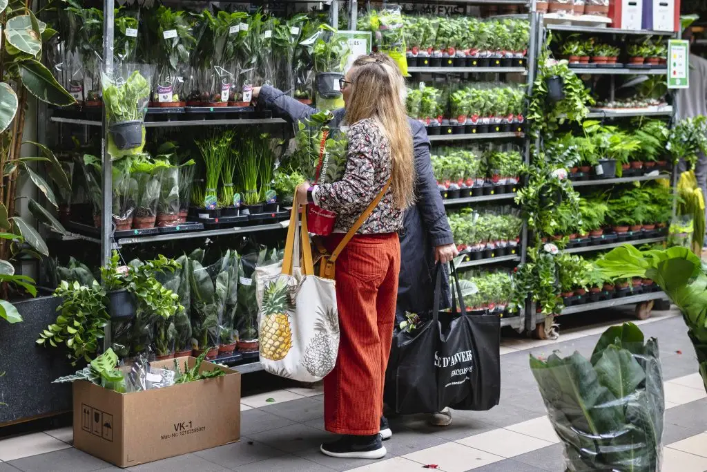 Des clients choisissant des plantes chez Plantes Pour Tous